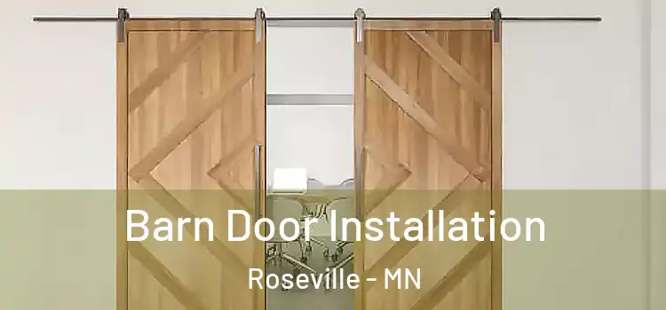  Barn Door Installation Roseville - MN