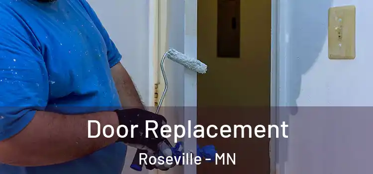  Door Replacement Roseville - MN