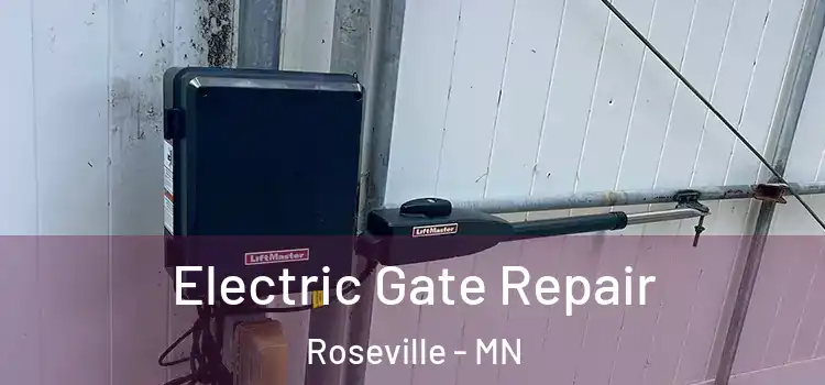  Electric Gate Repair Roseville - MN