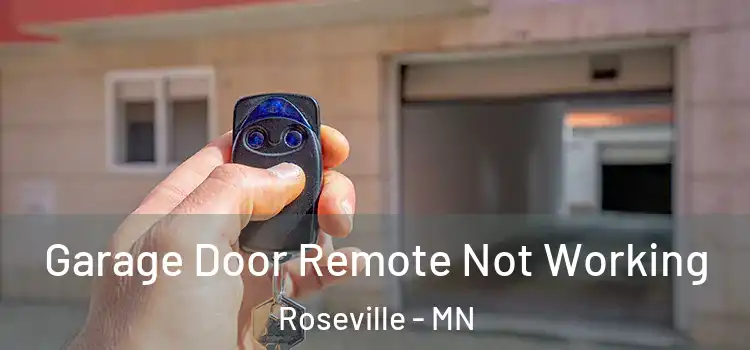  Garage Door Remote Not Working Roseville - MN