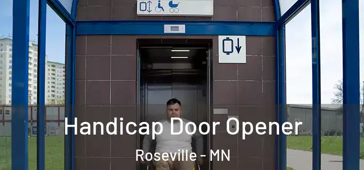 Handicap Door Opener Roseville - MN