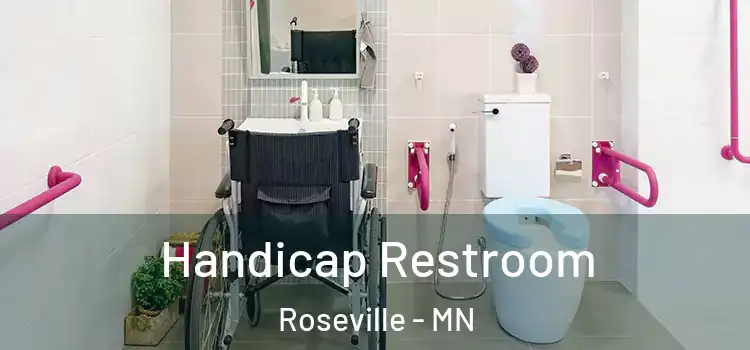  Handicap Restroom Roseville - MN