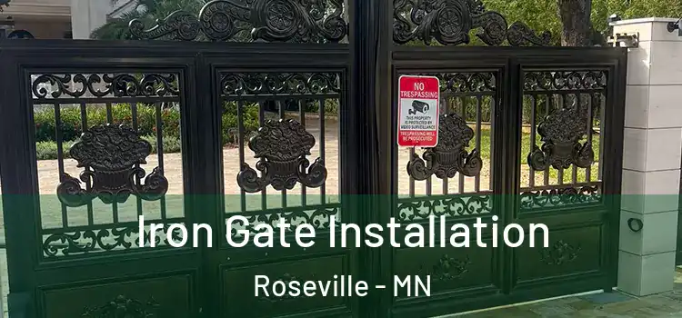 Iron Gate Installation Roseville - MN