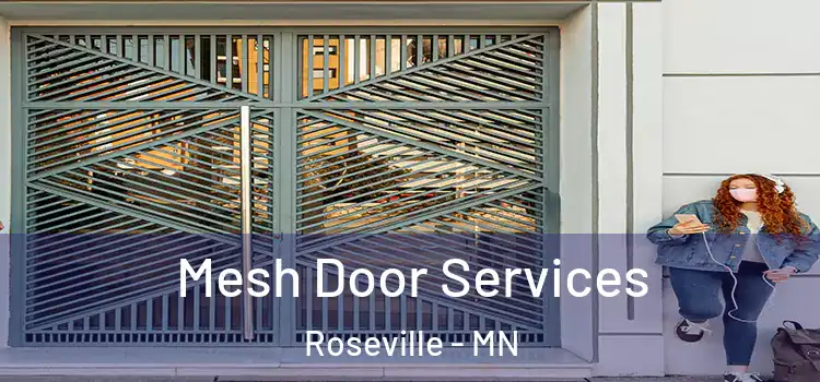 Mesh Door Services Roseville - MN