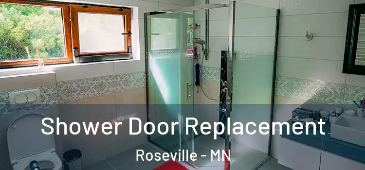  Shower Door Replacement Roseville - MN