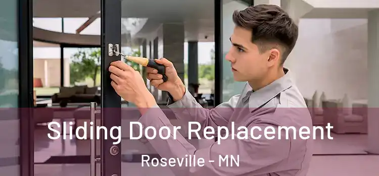  Sliding Door Replacement Roseville - MN