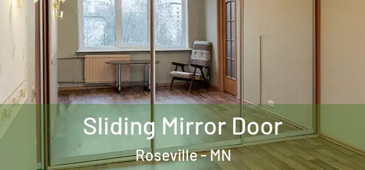  Sliding Mirror Door Roseville - MN