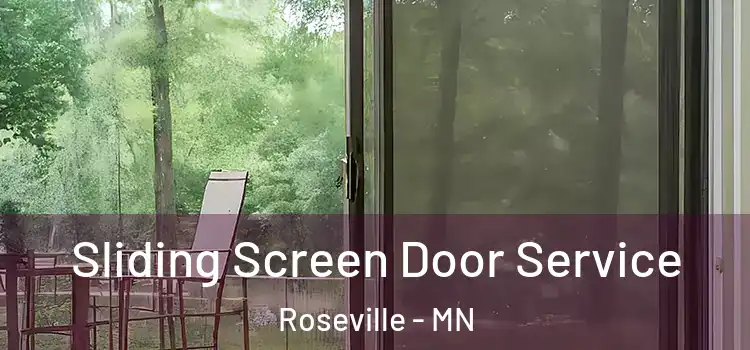  Sliding Screen Door Service Roseville - MN